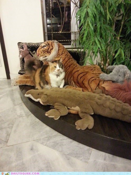 Reader Squee: In Stuffed Wilderness