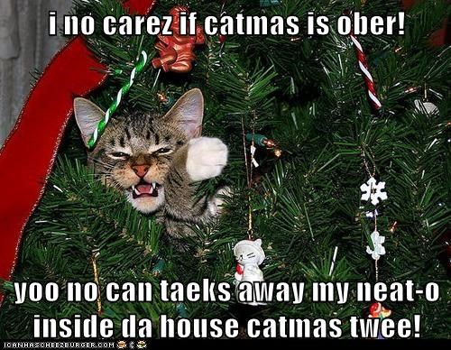 i no carez if catmas is ober! 