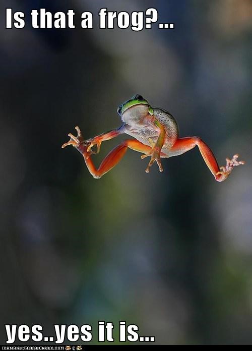 Is that a frog?...  yes..yes it is...