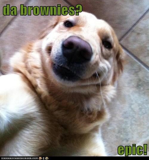 da brownies?  epic!