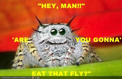 "HEY, MAN!!" 'ARE                     YOU GONNA' EAT THAT FLY?"