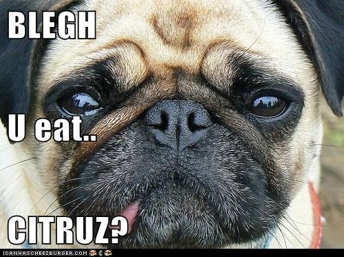 BLEGH U eat.. CITRUZ?