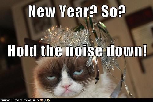 New Year? So? Hold the noise down!
