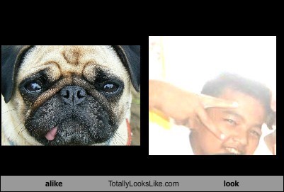 alike Totally Looks Like look