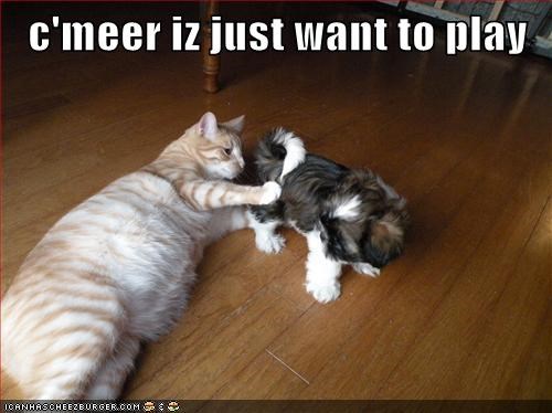 c'meer iz just want to play