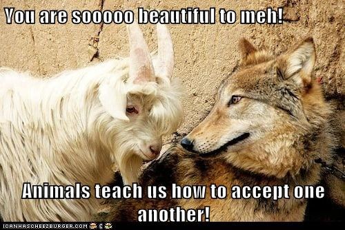 You are sooooo beautiful to meh!  Animals teach us how to accept one another!