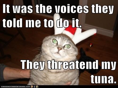 It was the voices they told me to do it.  They threatend my tuna.