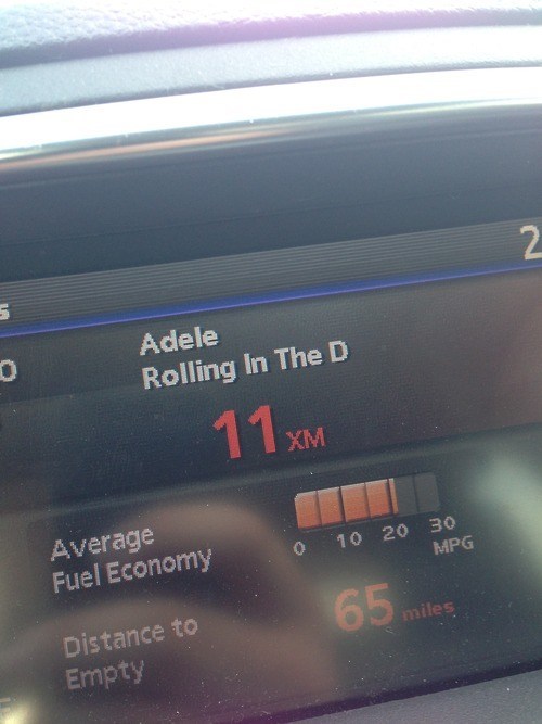 She Wants the D