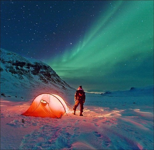 A Night Under the Aurora