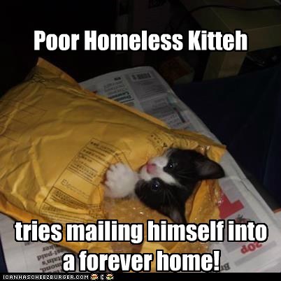 PHK needs schooling to help him read addresses!