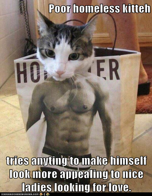 Poor homeless kitteh  tries anyting to make himself look more appealing to nice ladies looking for love.