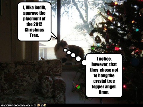 I, Vika Sedik, approve the placment of the 2012 Christmas Tree.