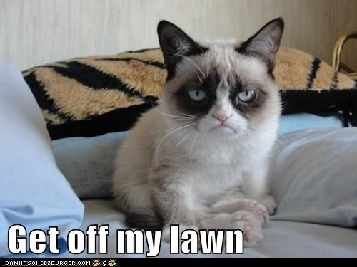 Get off my lawn
