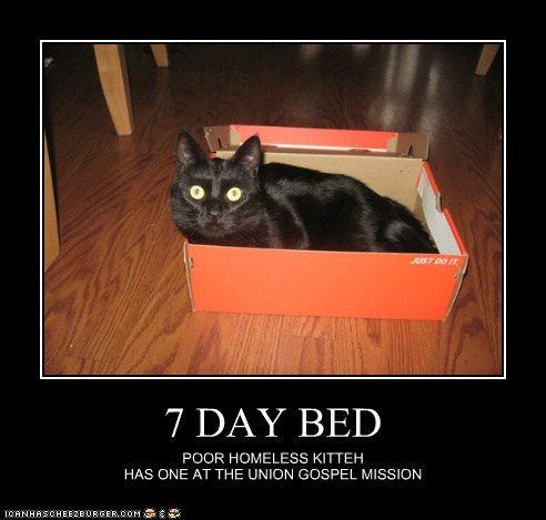 7 DAY BED
