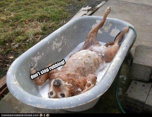 don't stop rubbing!