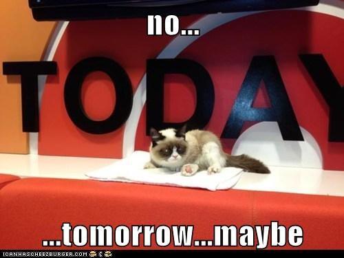 no...  ...tomorrow...maybe