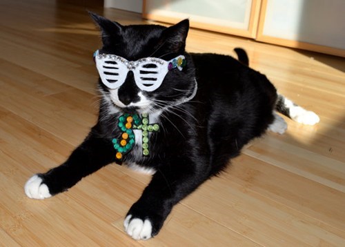 Kitty West