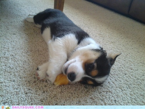 Reader Squee: Om Nom Nom