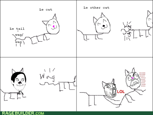 Cat Tail Rage