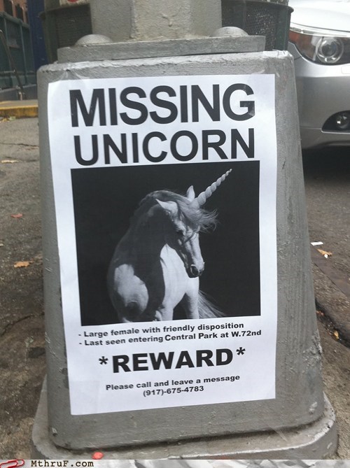 People Lose All Kinds of Things These Days