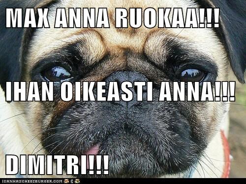 MAX ANNA RUOKAA!!! IHAN OIKEASTI ANNA!!! DIMITRI!!!