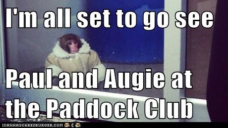 I'm all set to go see  Paul and Augie at the Paddock Club