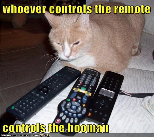 whoever controls the remote  controls the hooman