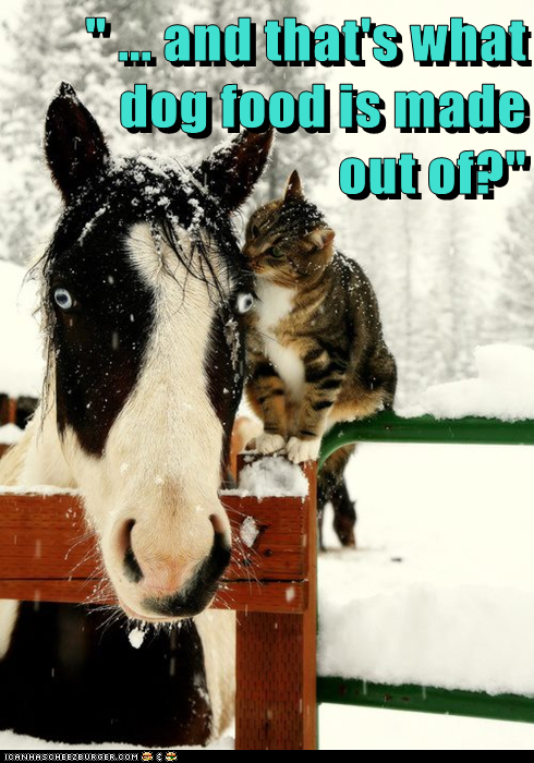 " ... and that's what dog food is made                                                      out of?"