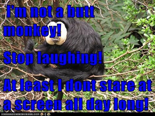 I'm not a butt monkey! Stop laughing! At least I dont stare at a screen all day long!