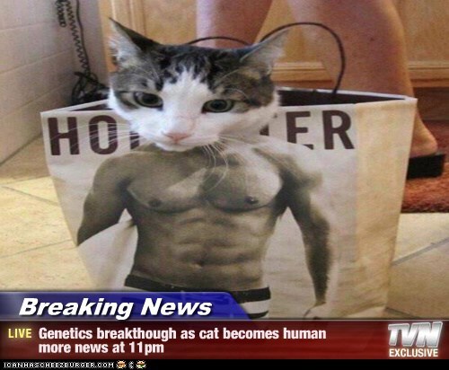 Breaking News - Genetics breakthough as cat becomes human  more news at 11pm
