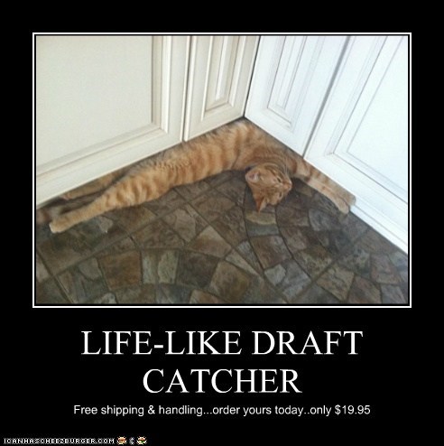 LIFE-LIKE DRAFT CATCHER