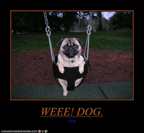WEEE! DOG.