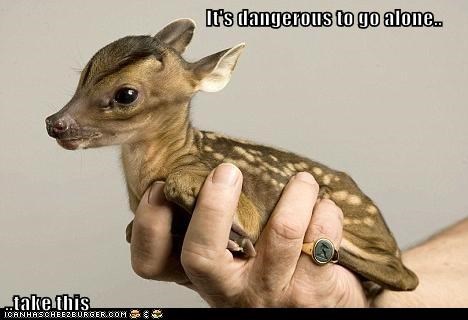 It's dangerous to go alone...