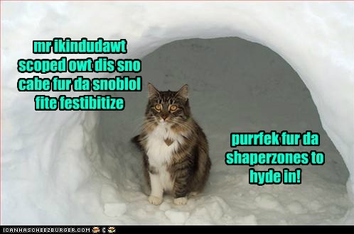 Shaparones needs are considered fur Snofestible weekens!