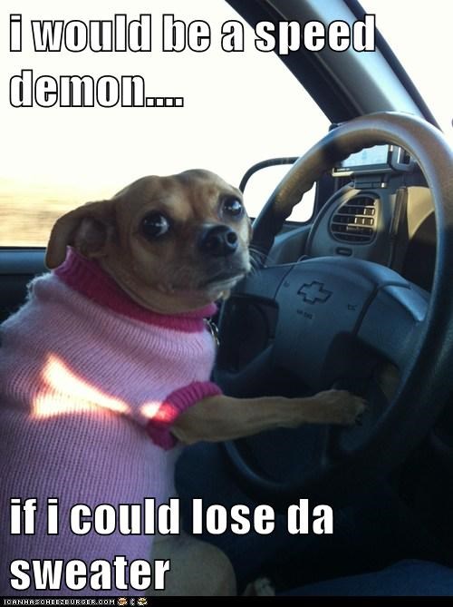 i would be a speed demon....  if i could lose da sweater