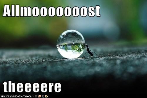 Please Don't Pop, Please Don't Pop