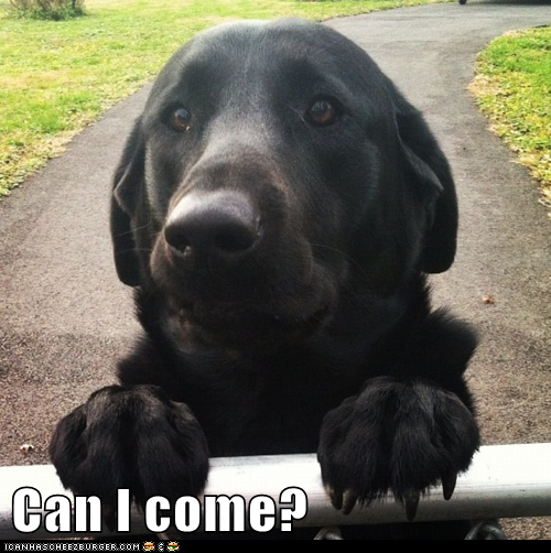 Can I come?