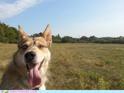 Reader Squee: Happy Face 