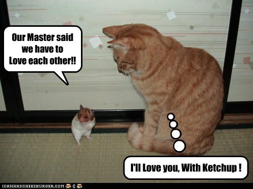 Our Master said we have to  Love each other!!