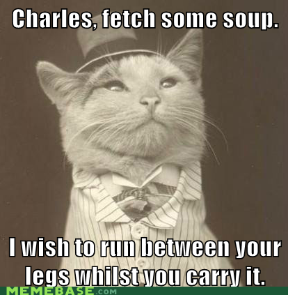 Cats are Jerks
