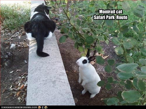 Monirail cat Safari Park  Route