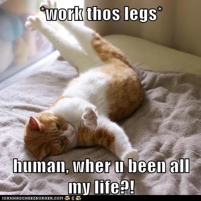 *work thos legs*  human, wher u been all my life?!