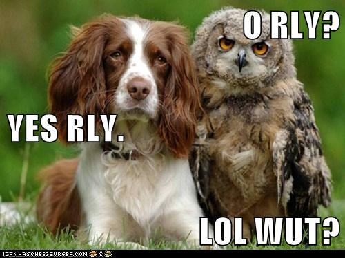O RLY? YES RLY. LOL WUT?