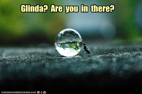 Glinda?  Are  you  in  there?