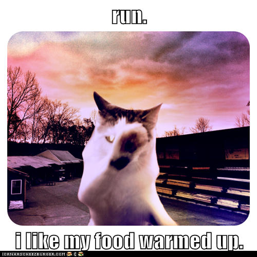 run.  i like my food warmed up.