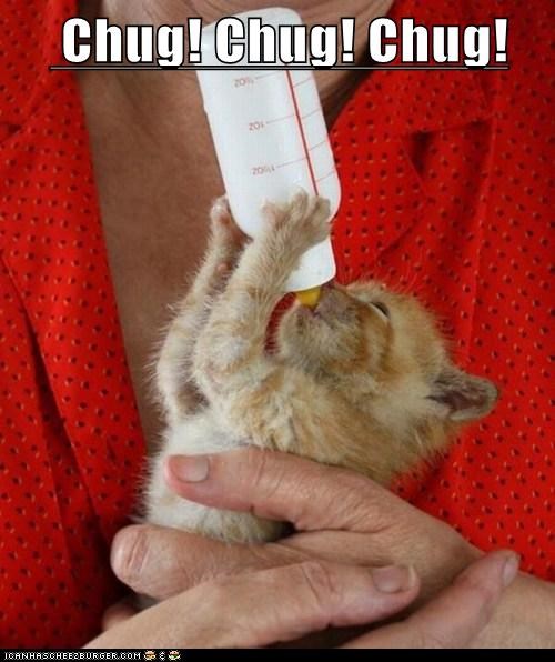 You can do It!