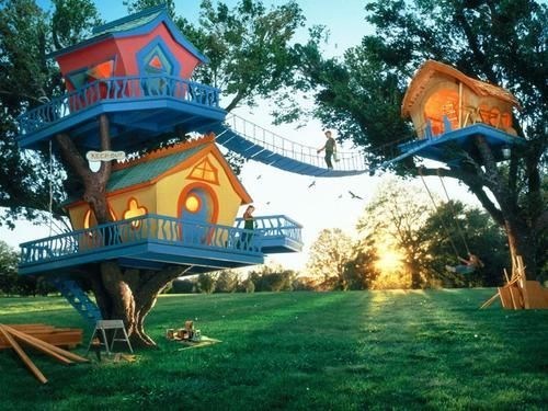 ONE Tree House? Amateur!