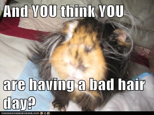 And YOU think YOU  are having a bad hair day?