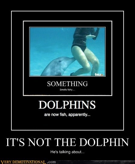 IT'S NOT THE DOLPHIN