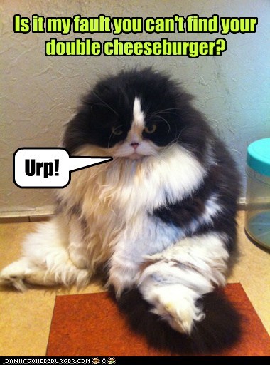 Is it my fault you can't find your double cheeseburger?